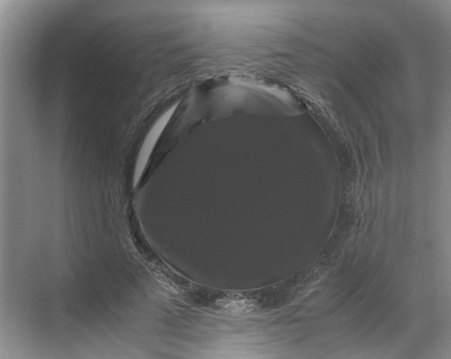 X0000070170689200606091441