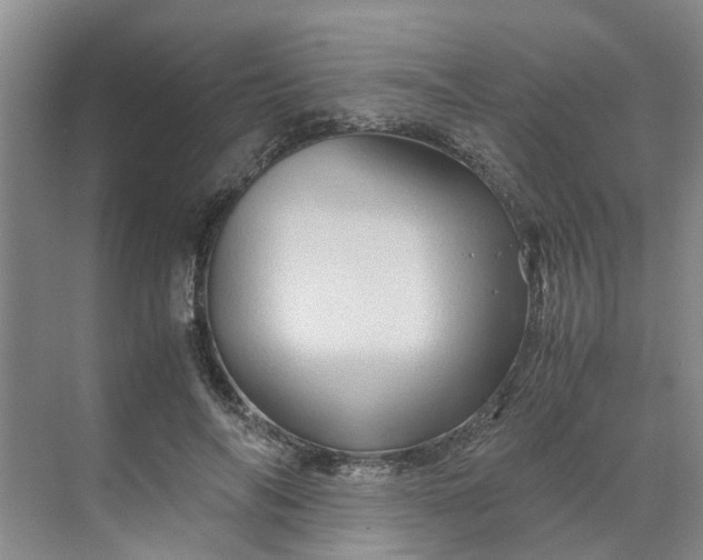 X0000070170694200606091441