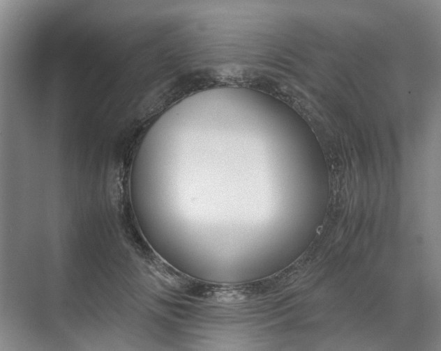 X0000070170702200606091441