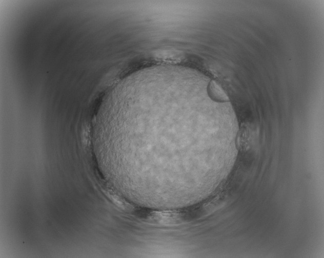 X0000070170713200606091441