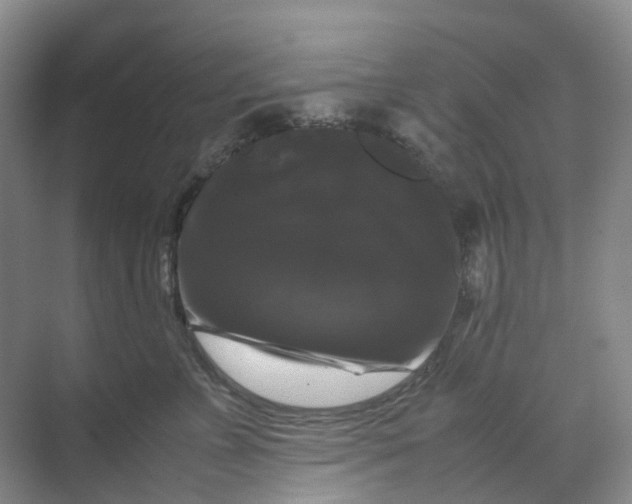 X0000070170715200606091441