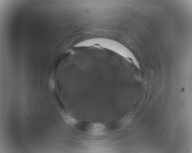 X0000070170719200606091441