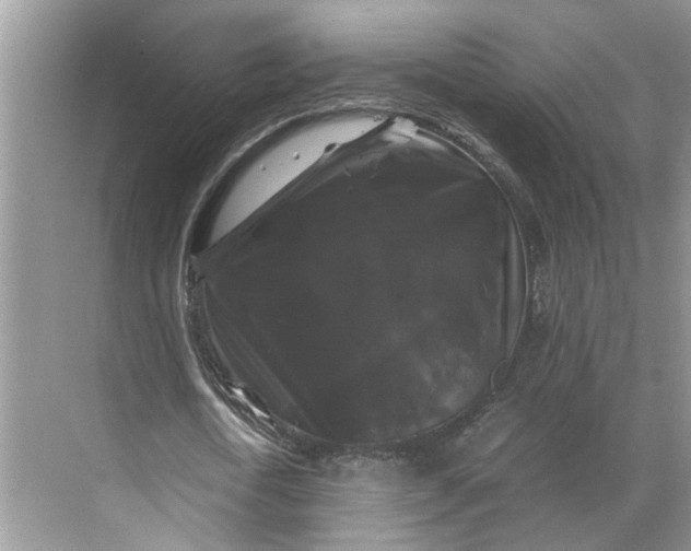 X0000070170722200606091440