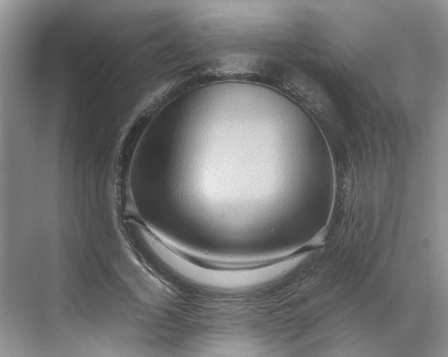 X0000070170732200606091440