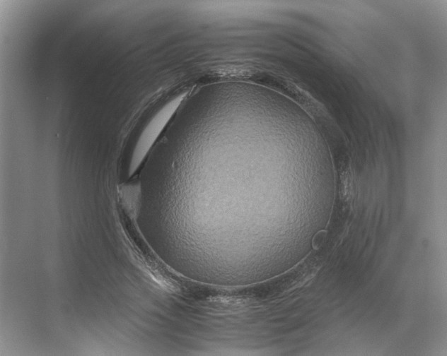 X0000070170733200606091440