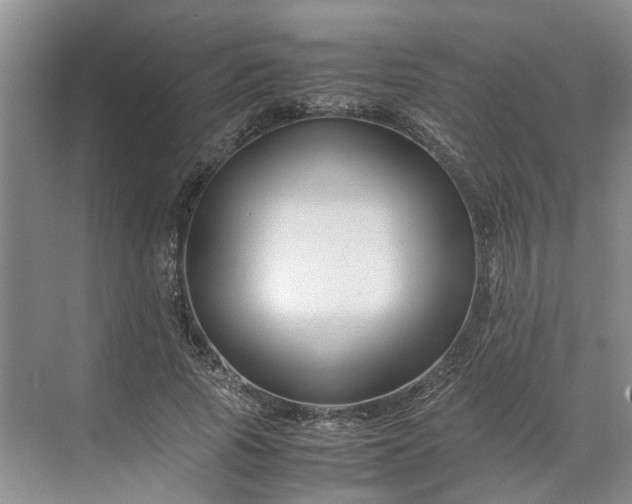 X0000070170737200606091440