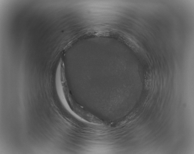 X0000070170748200606091440