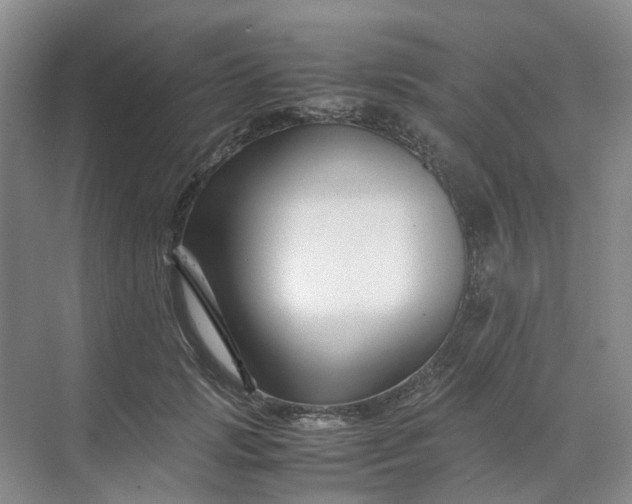 X0000070170749200606091440