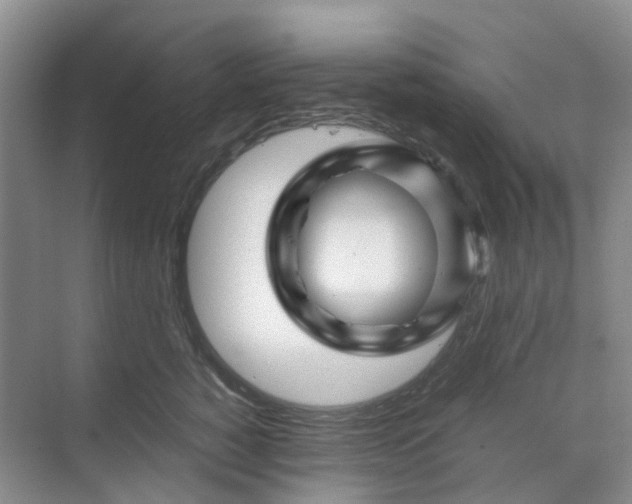 X0000070170760200606091440