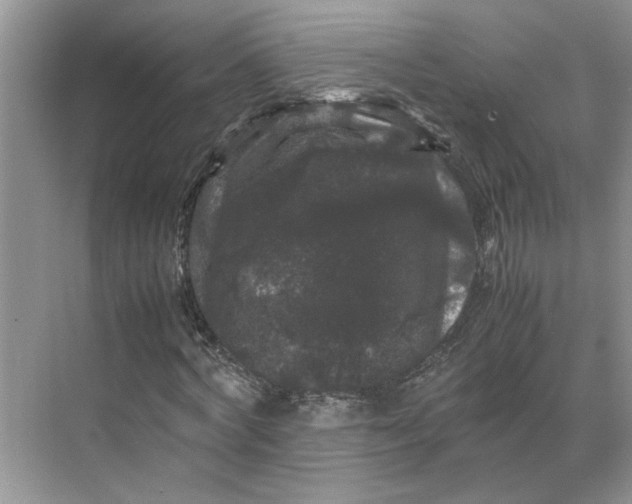X0000070170772200606091440