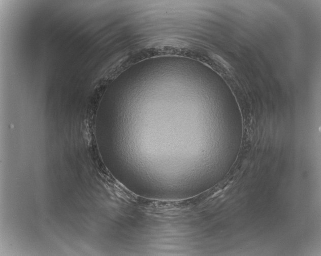 X0000070170774200606091440