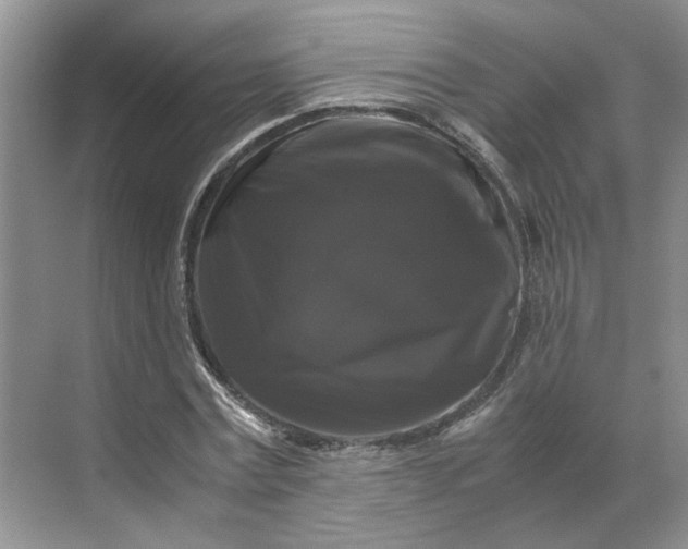X0000070170779200606091440