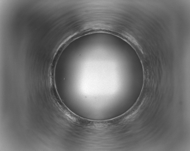 X0000070170782200606091439