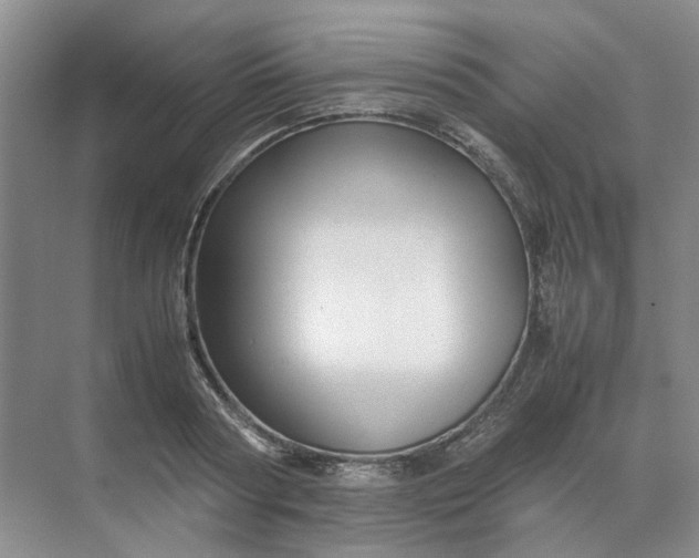 X0000070170794200606091439