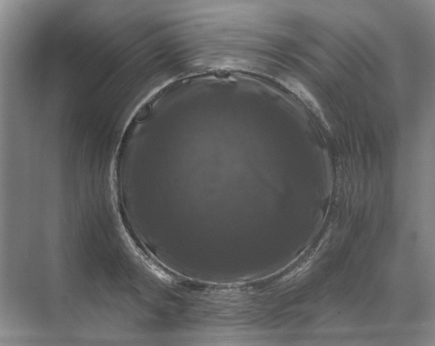 X0000070170798200606091439
