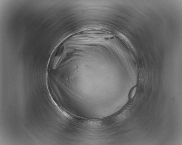 X0000070170802200606091439