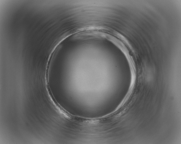 X0000070170810200606091439