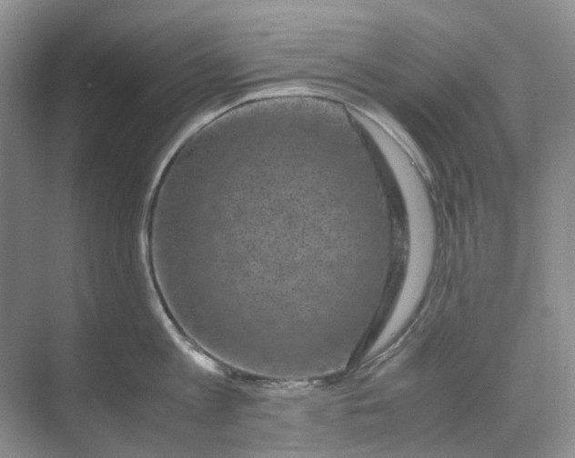 X0000070170813200606091439