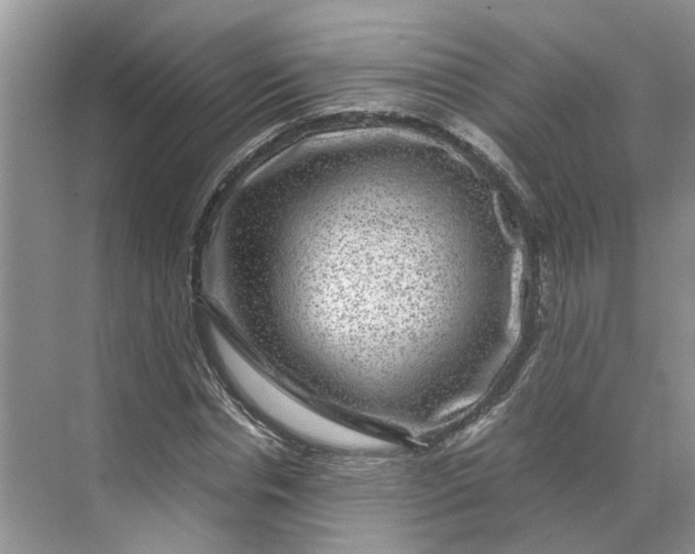 X0000070170826200606091438