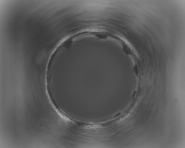 X0000070170853200606091439