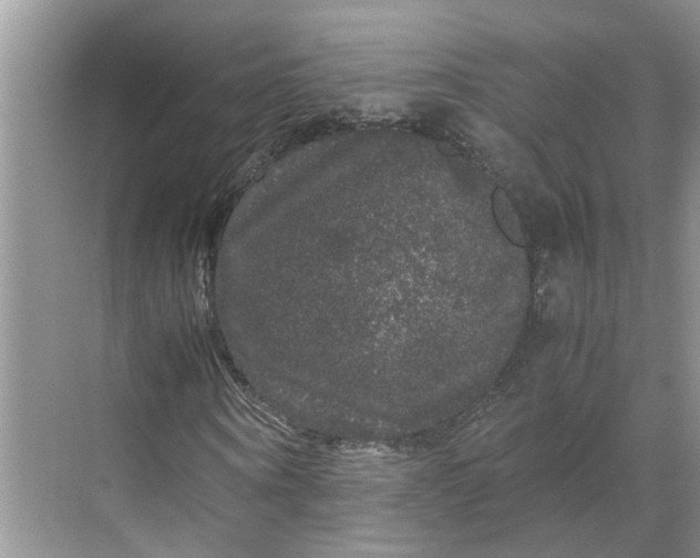 X0000070170866200606091438