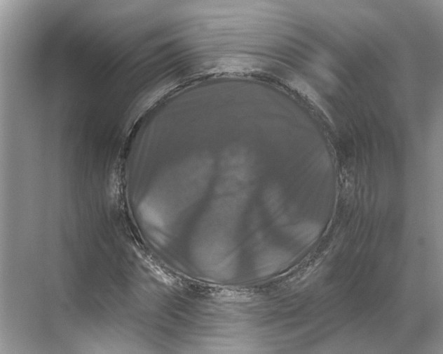 X0000070170874200606091438