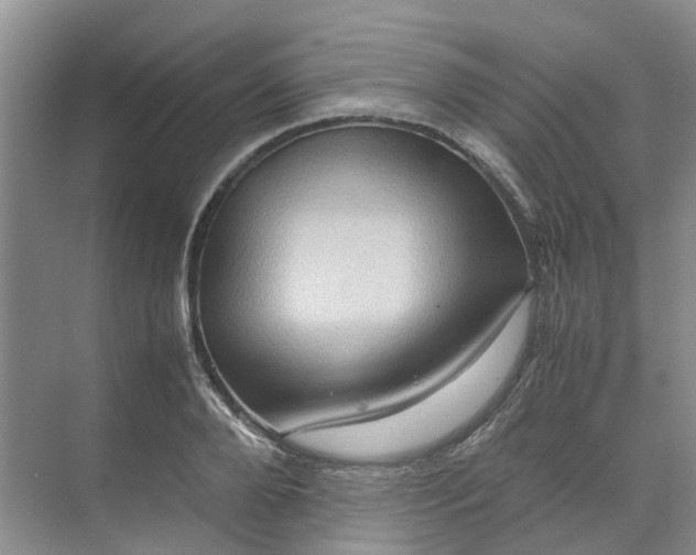 X0000070170888200606091438