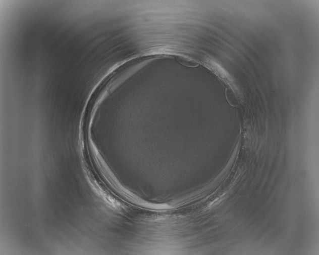 X0000070170892200606091438