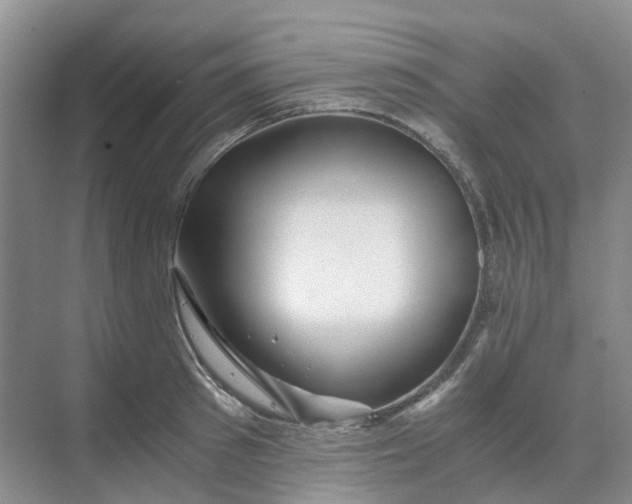 X0000070170897200606091438