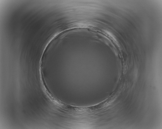X0000070170899200606091437