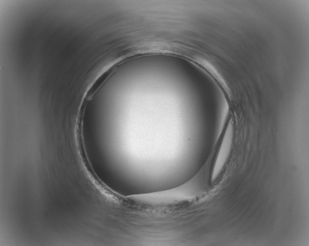 X0000070170901200606091437