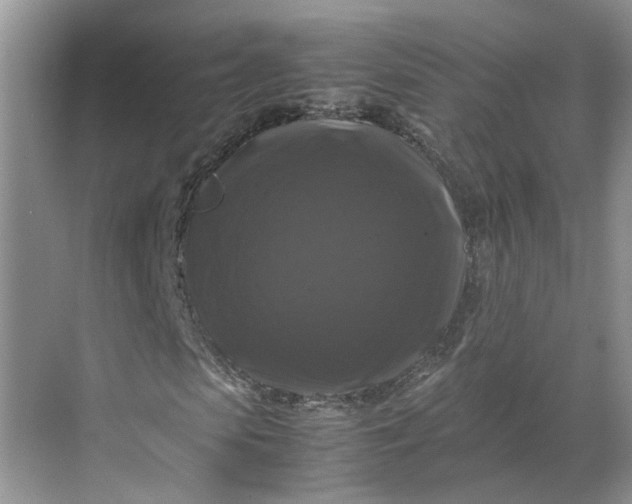 X0000070170913200606091436