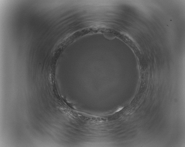 X0000070170919200606091437