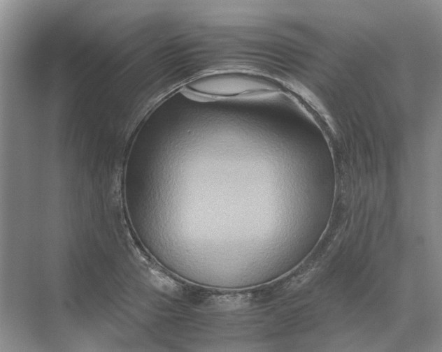 X0000070170937200606091437