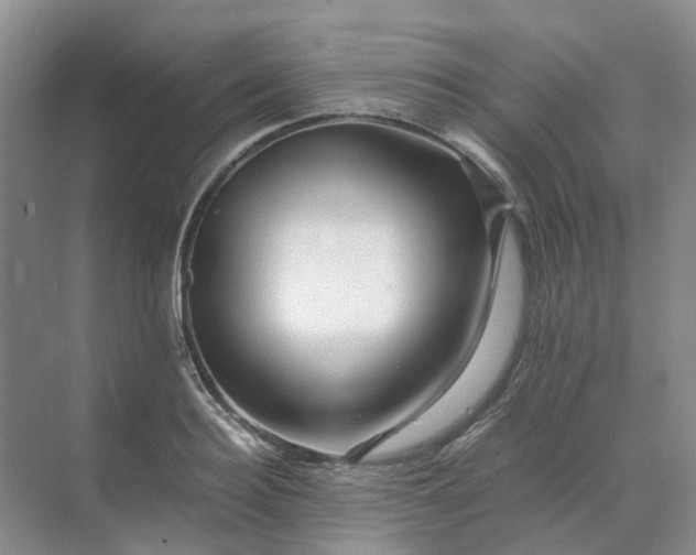 X0000070170940200606091437
