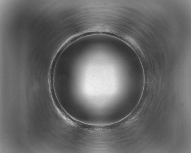 X0000070170942200606091437
