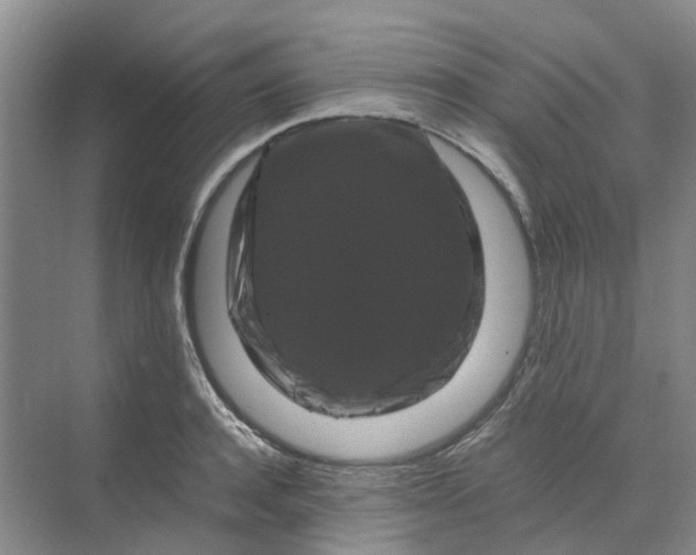 X0000070170944200606091437