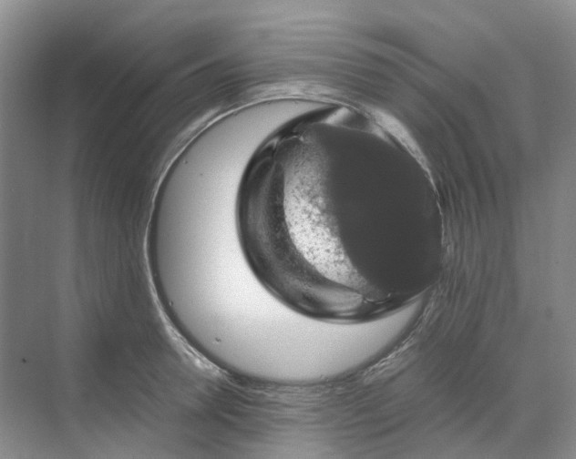 X0000070170946200606091437