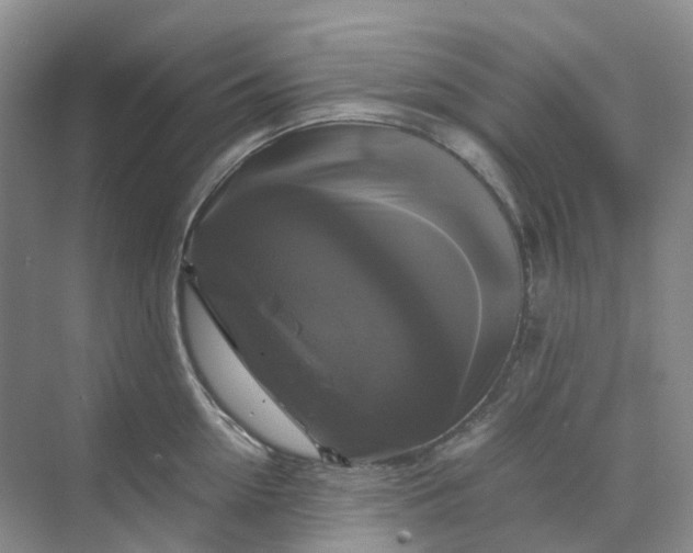 X0000070170954200606091437