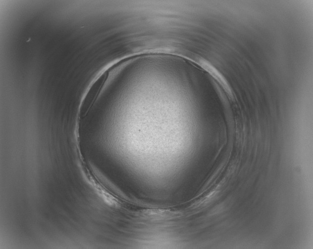 X0000070170956200606091437