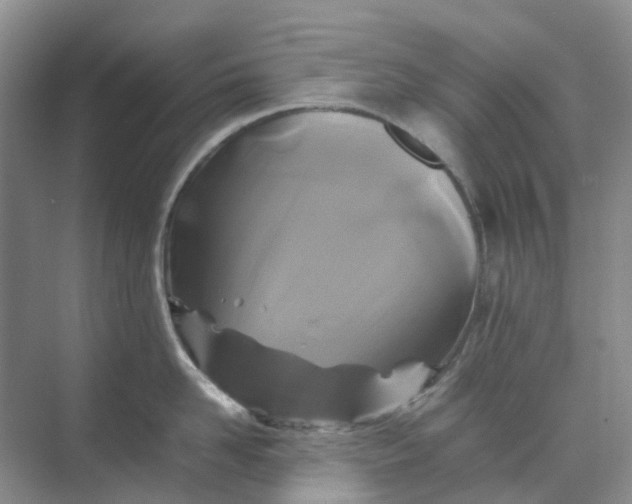 X0000070170958200606091437
