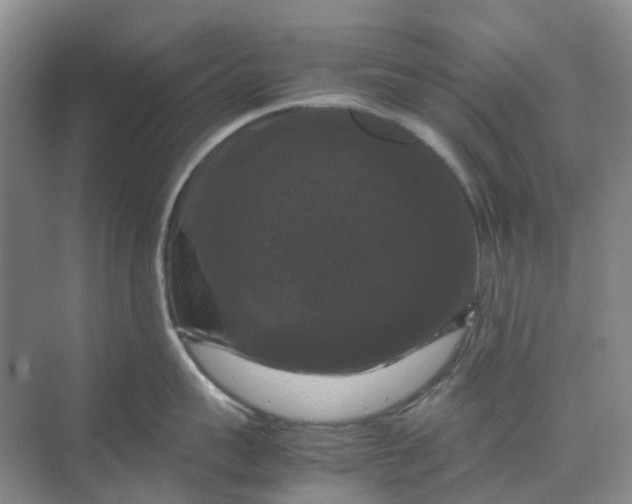 X0000070170959200606091437