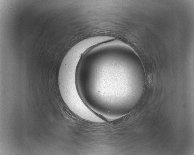 X0000070170963200606091436
