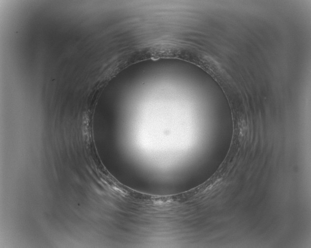 X0000070170964200606091436