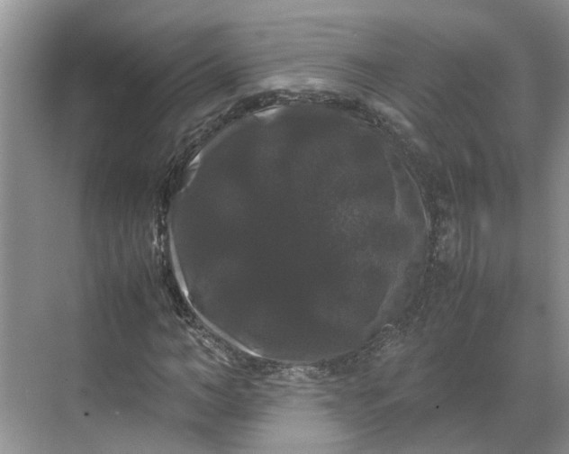 X0000070170966200606091436