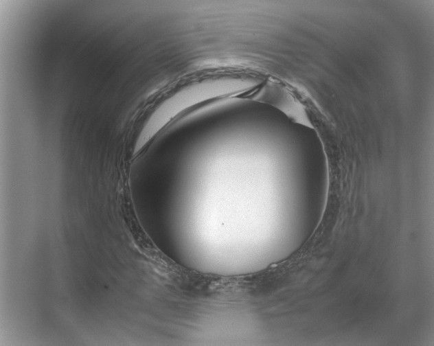 X0000070170967200606091436