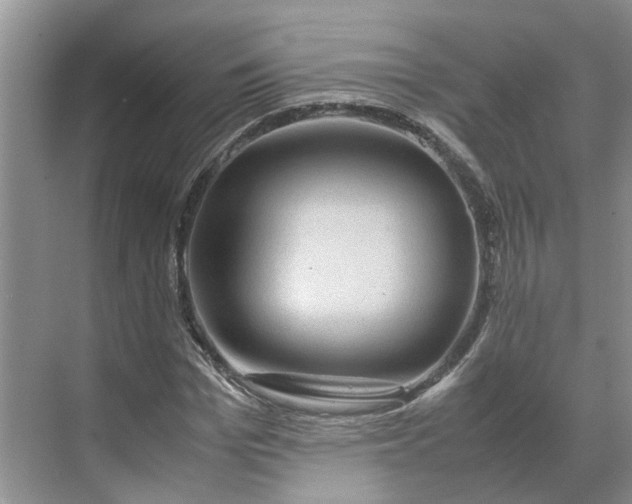X0000070170969200606091436