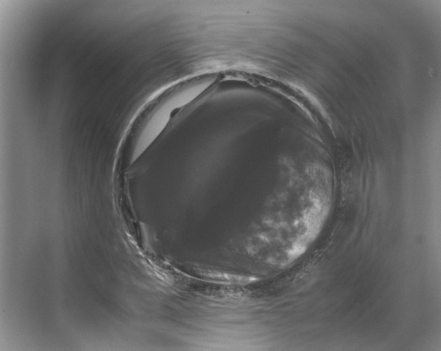 X0000070170975200606091436