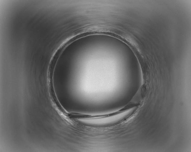 X0000070170981200606091436