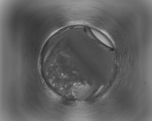 X0000070170983200606091436